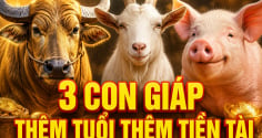 Tích phúc đức về già: 3 con giáp thêm tuổi thêm Tiền Tài