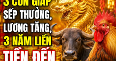 3 con giáp sếp thưởng, lương tăng, 3 năm liền Tiền đến