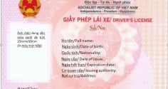3 trường hợp bị thu hồi Giấy phép lái xe trong năm 2026: Đó là trường hợp nào