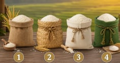  Chọn 1 túi gạo bạn thích nhất để xem bạn có phải người dám nghĩ lớn để làm giàu hay không