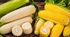 Ngô nếp trắng hay ngô ngọt vàng bổ dưỡng hơn? Nên chọn loại nào?
