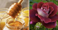 Công thức mặt nạ từ bột cánh hoa hồng giúp làn da mềm mại, rạng rỡ hơn