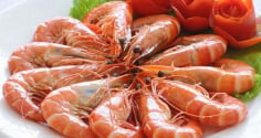 Người mắc 1 trong 5 bệnh này tuyệt đối không ăn tôm: Nặng có thể mất mạng