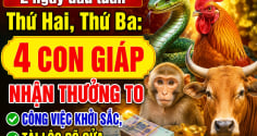 2 ngày đầu tuần Thứ Hai, thứ Ba: 4 con giáp nhận thưởng to