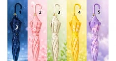 Chọn 1 chiếc ô che mưa bạn muốn dùng nhất: Điều thú vị nào sắp tìm đến với bạn?