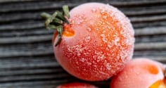 Cách làm đá viên cà chua giúp làm dịu da và hỗ trợ cải thiện làn da xỉn màu