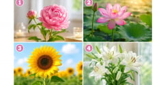 Chọn một bông hoa để xem bạn nên ưu tiên điều gì lúc này
