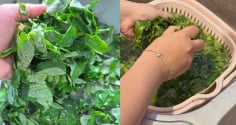 Tại sao khi nấu canh rau ngót, phải vò lá rau trước khi cho vào nồi?