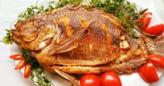 Người mắc 1 trong 5 bệnh này không nên ăn cá, càng ăn càng gây hại
