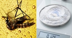 Đuổi muỗi hiệu quả chỉ với bia và bột giặt: Mẹo cực hay không cần dùng hóa chất