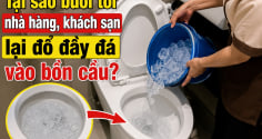 Tại sao buổi tối nhà hàng, khách sạn lại đổ đầy đá vào bồn cầu?