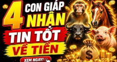 Thứ Hai, Thứ Ba đầu tuần (6/7-8/7), 4 tuổi lương thưởng đua nhau về
