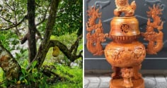 Tại sao đồ thờ hay được làm từ gỗ mít?