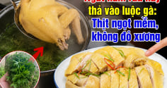 Ngắt nắm rau này thả vào luộc gà: Thịt ngọt mềm, không đỏ xương