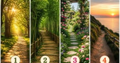 Chọn một lối đi mà bạn cho là bình an nhất: Khám phá khả năng nắm bắt cơ hội của bạn