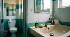 Tại sao nên đặt một chai dầu gió trong nhà vệ sinh?