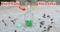 10 cách đuổi muỗi đơn giản, nhà sạch bóng không còn tiếng vo ve