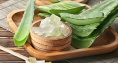 Gel lô hội có tốt cho tóc không? 3 lợi ích nổi bật và cách sử dụng đúng để chăm sóc tóc tại nhà