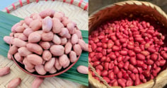 Lạc trắng và lạc đỏ: Nên mua loại nào?