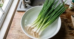 Mẹo bảo quản hành lá cả tháng vẫn tươi xanh, không bị nát