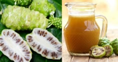 Điều gì xảy ra với cơ thể nếu uống nước quả nhàu hàng ngày?