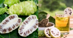 Quả nhàu rất tốt nhưng 3 nhóm người này không nên dùng