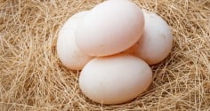 5 người không nên ăn trứng vịt, càng ăn càng hại