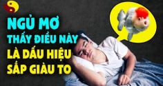 4 giấc mơ báo trước điềm lành: Ai mơ thấy thật đáng chúc mừng