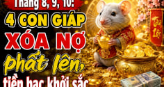 4 tuổi Xóa Nợ - Vươn Mình, từ 3/8 đến 13/8 đại vận tốt lành