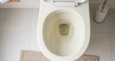 Mẹo tẩy sạch vết ố vàng cứng đầu trên bồn cầu