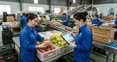Ngành học được dự báo 'khát' nhân lực trong 10 năm tới: Ra trường dễ xin việc, nhiều doanh nghiệp săn đón