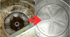 Bao lâu thì nên vệ sinh máy giặt một lần?