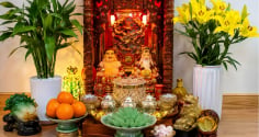 Đặt cây cảnh phong thủy ở ban thờ Thần Tài: Nhất định phải biết điều này