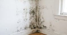 Mẹo xử lý tường nhà bị bong tróc, ẩm mốc