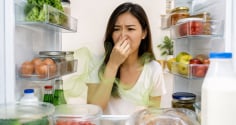 Vì sao tủ lạnh nhìn thì sạch mà vẫn có mùi hôi?