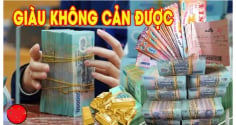3 ngày cuối tuần từ Thứ Sáu tới Chủ Nhật: 3 con giáp Tiền Về Đếm Mỏi Tay