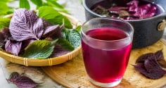 Khi nấu nước tía tô, nhớ mẹo này thì màu đỏ đẹp, không thâm xỉn
