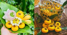 Tại sao quả thị ăn được nhưng người ta chỉ để ngửi chứ không ăn?
