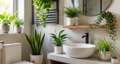 Vì sao nên để chậu cây nhỏ trong nhà tắm, nhà vệ sinh?