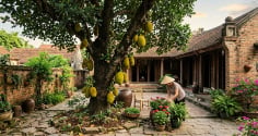 5 lý do nên trồng ngay một cây mít trong vườn nhà: Vừa hút tài lộc, vừa thu lợi đủ đường