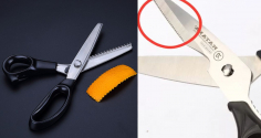 Công dụng đặc biệt của đường răng cưa trên kéo, nhiều người không biết