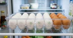 Thời gian bảo quản trứng trong tủ lạnh tối đa là bao nhiêu ngày?