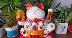 Mèo thần Tài vẫy tay nên đặt hướng ra cửa hay hướng vào trong?