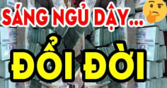 Từ nay tới Rằm Trung THu: 3 con giáp Ăn Lộc tổ tiên đi đắng Đông hốt Vàng, đi đằng Tây hốt Bạc