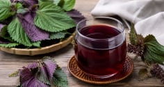Uống tía tô nhớ tránh những sai lầm này, nhiều người đang mắc mà không hay