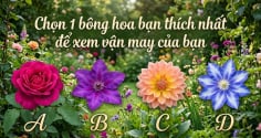 Chọn 1 bông hoa bạn thích nhất để xem vận may của bạn