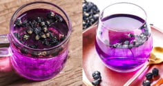 Mỗi ngày uống một cốc trà hắc kỷ tử, cơ thể nhận được 6 lợi ích