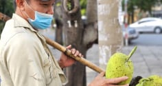 Những nghề mưu sinh nhọc nhằn của người lao động nghèo ở TP.HCM