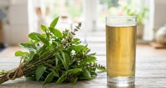 6 lợi ích của việc uống nước lá húng quế