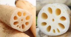 Nên chọn củ sen có bao nhiêu lỗ: Loại 7 hay 9 lỗ ngon hơn?